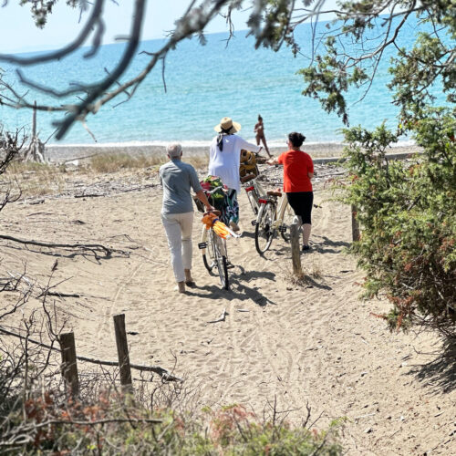 beach_1 beach_1
